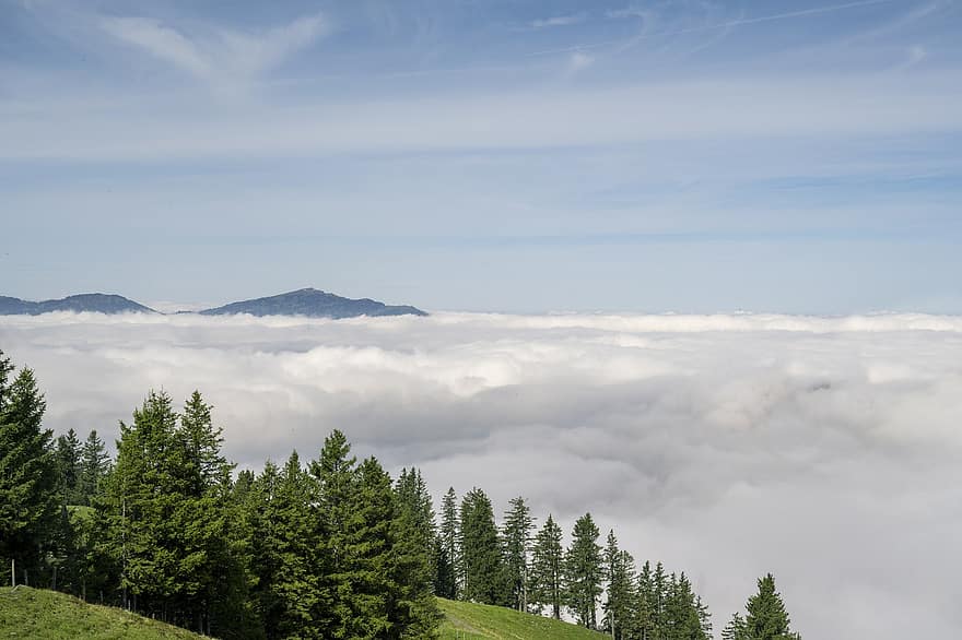 Fog, Trees, Mountains, Forest, Summer, Alps, Nature