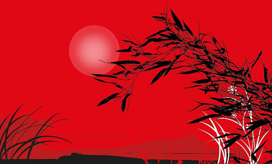 paysage, bambou, le coucher du soleil, ciel du soir, abendstimmung, Soleil, rouge, blanc, noir, les herbes, fleurs