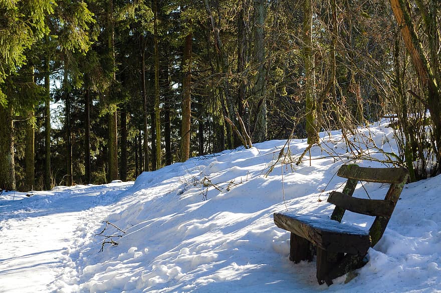 Winter, Forest, Germany, Nature, Feldberg, Snow, tree, season, landscape, wood, frost
