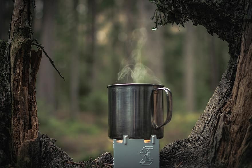 Pot, Cooking, Camping, Cook, Food, Wood, Tree, Outdoors
