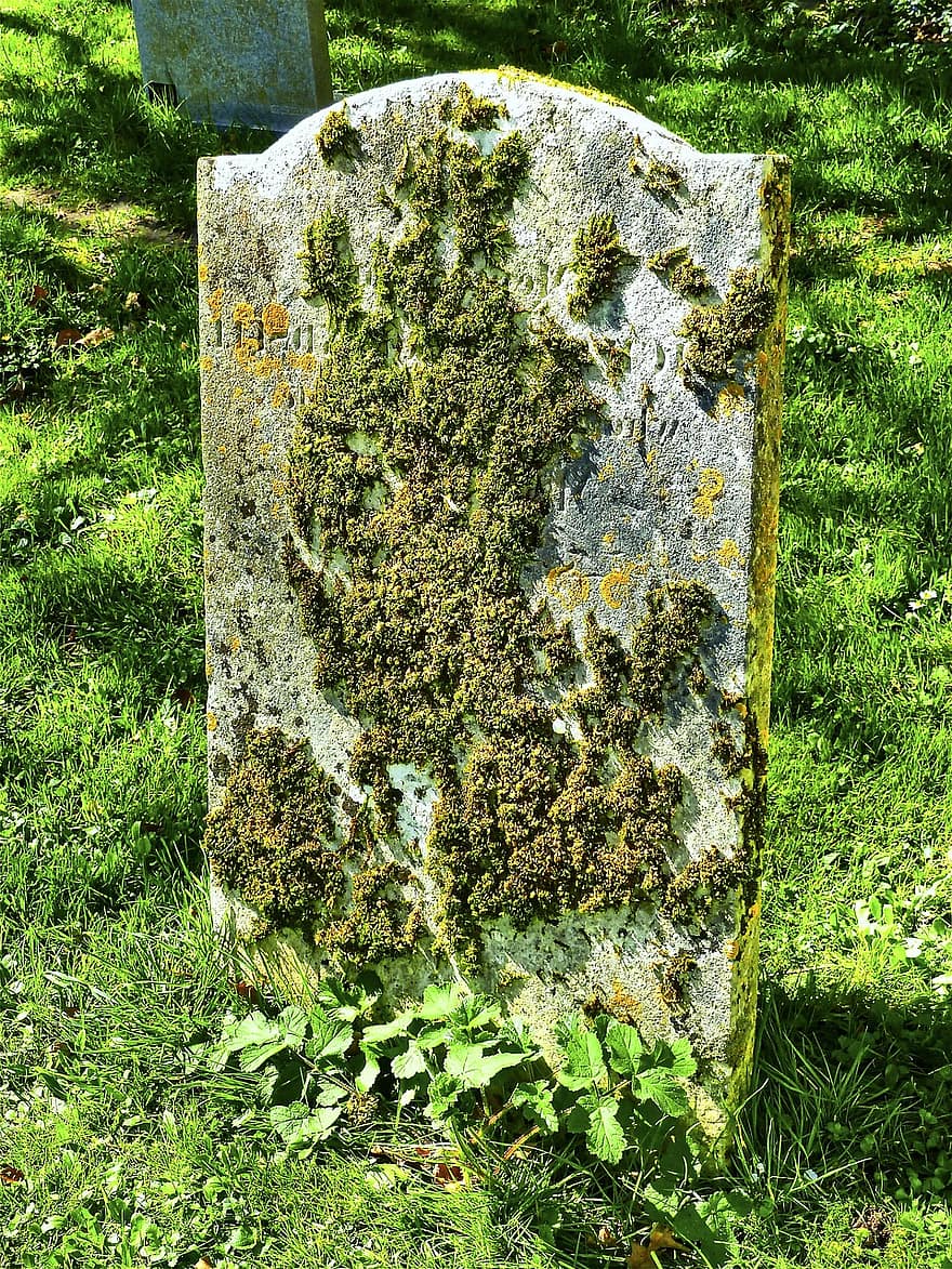 Grabstein, Friedhof, Grab, Denkmal, Monument, Gras, alt, grüne Farbe, Hintergründe, Pflanze, Nahansicht