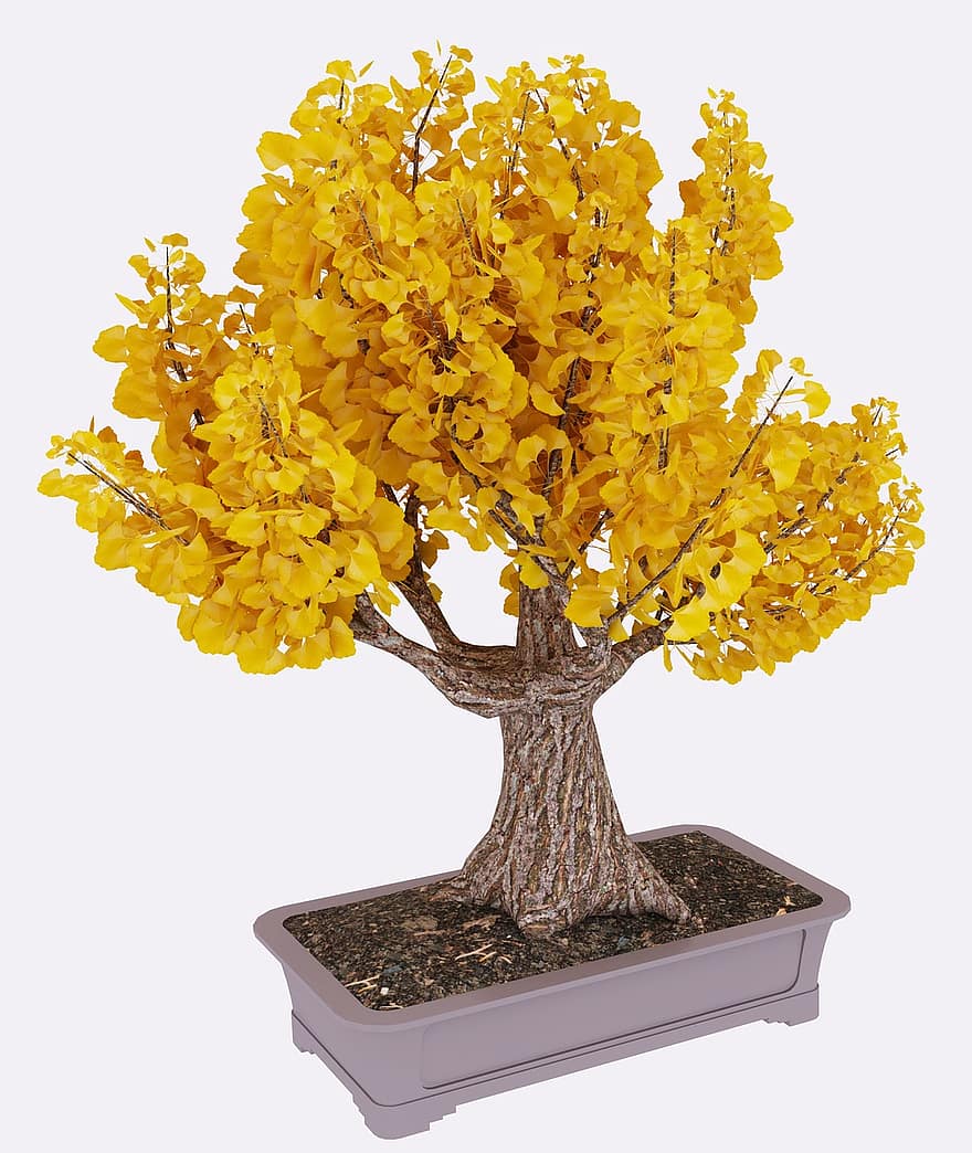 arbre, render, 3d, naturalesa, fusta, groc, tardor, fulles, Arbre Bonsai Ginkgo