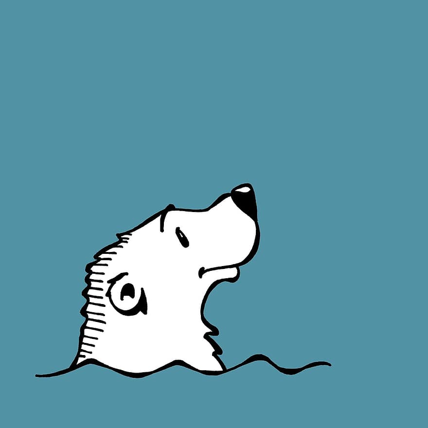 isbjørn, vand, hav, arktisk, blå, svømning, blåt vand, blå hav