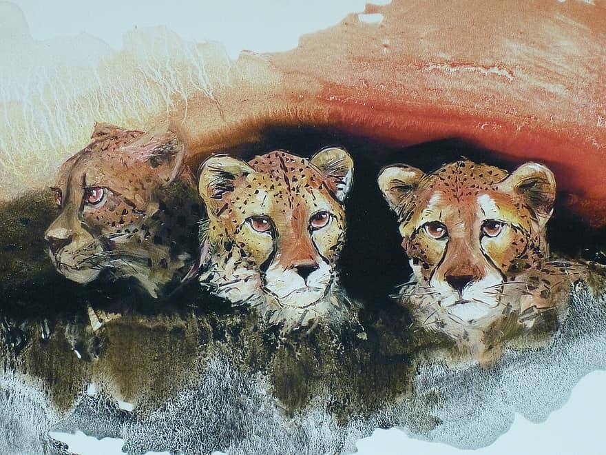 Nam Phi, Châu phi, hình ảnh, nghệ thuật, con báo, safari, mèo rừng, con mèo, động vật hoang da, thú vật, động vật ăn thịt