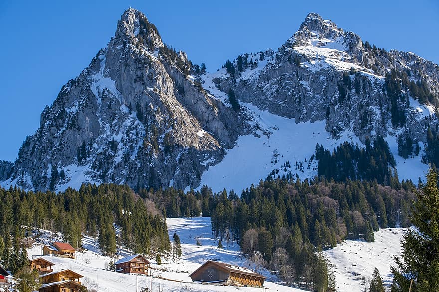 Góra, wioska, zimowy, śnieg, domy, drzewa, zaspa, Alpy, miasto, brunni, kanton Schwyz