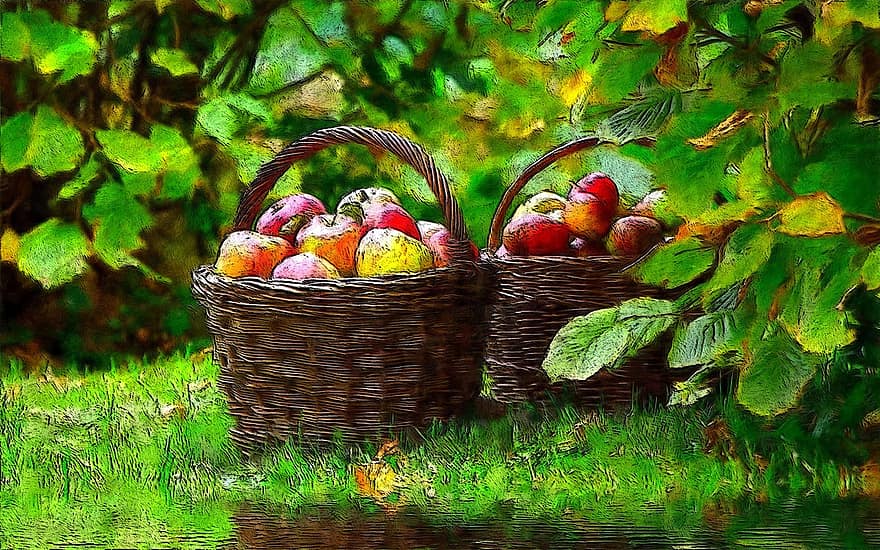 яблоки, корзина, на открытом воздухе, зеленый, завод, урожай, трава, природа, расслабиться, яблоко, фрукты