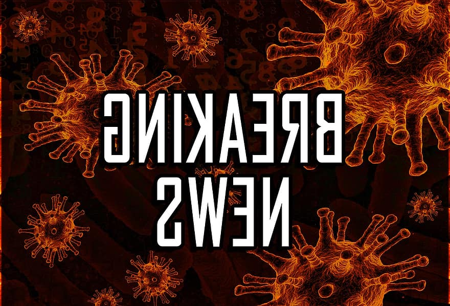 COVID-19, corona, coronavirus, virus, cuarentena, pandemia, infección, enfermedad, epidemia, médico, doctor