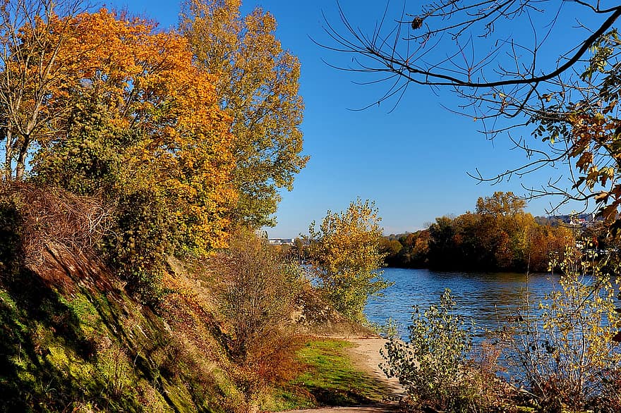 деревья, река, листья, осень, небо, осенние краски, растения, воды