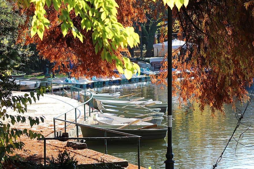 Cismigiu kertek, Bukarest, tó, kikötő, csónak, ponton hajók, ősz, park, víz, fa, hajó