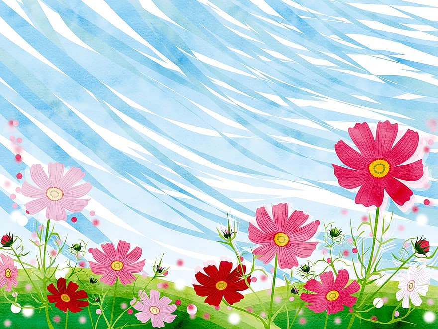 Landscape Background, Cosmos Field, Sky, Wind, Watercolor, Flowers, Green, Meadow, Field, Blue Sky, Landscape