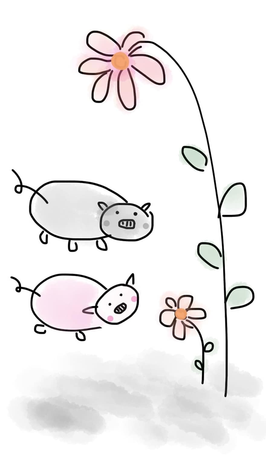 cerdito, cerdo, flor, Flores rosadas, feliz, alegre, al aire libre, alegría, cerdo rosa, Pico gris, para caminar
