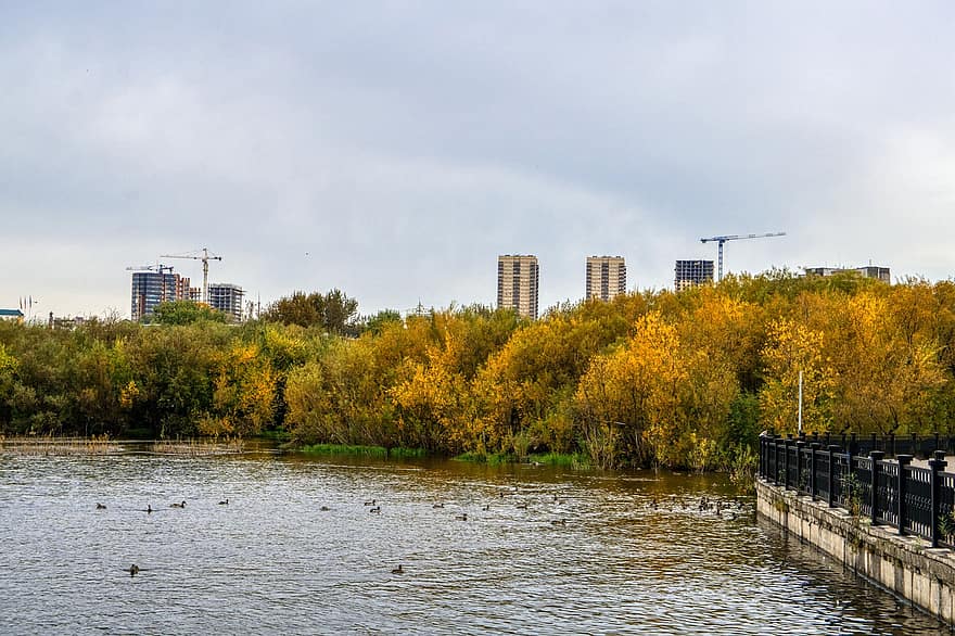 řeka, město, Krasnojarsk, podzim, stromy, park, Rusko, siberia, yenisei, mrakodrapy, budov