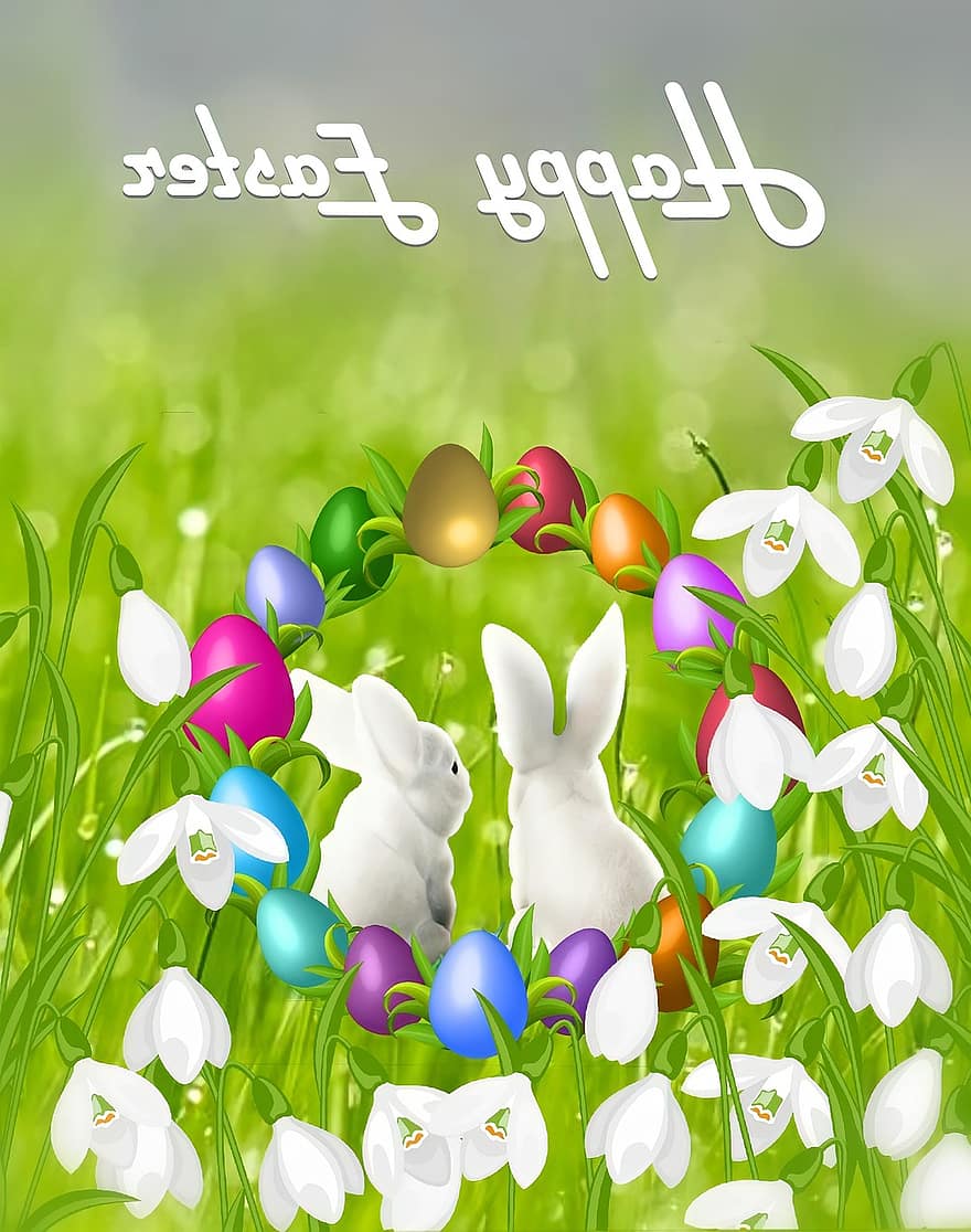 Pascua de Resurrección, Felices Pascuas, conejito, saludo, vacaciones, diseño, campanilla de febrero, conejo de Pascua, prado, huevos de Pascua, hierba