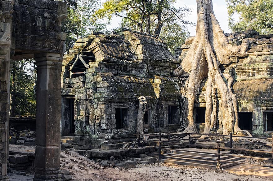 ta prohm temple, kuil hindu, Kamboja, siem menuai, Kuil, kehancuran tua, angkor, Arsitektur, tempat terkenal, agama Buddha, sejarah