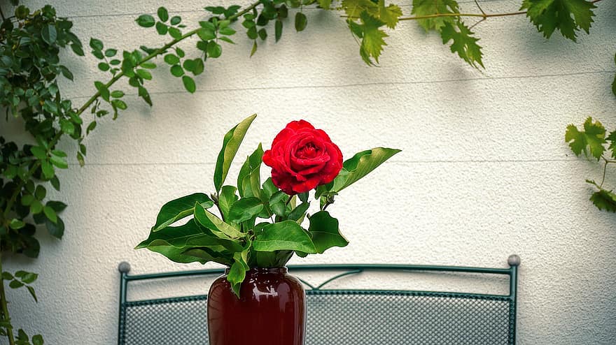 rosa, vaso, mazzo, fiori, nozze, natura, romantico, fiorire, fioritura, amore, decorazione
