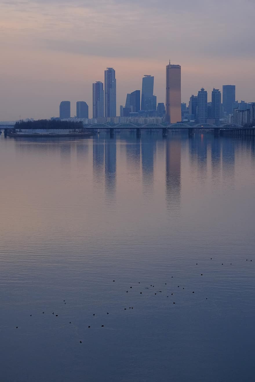 immeubles, rivière han, le coucher du soleil, canard, ville, République de Corée, Corée, eau, crépuscule, paysage urbain, bleu