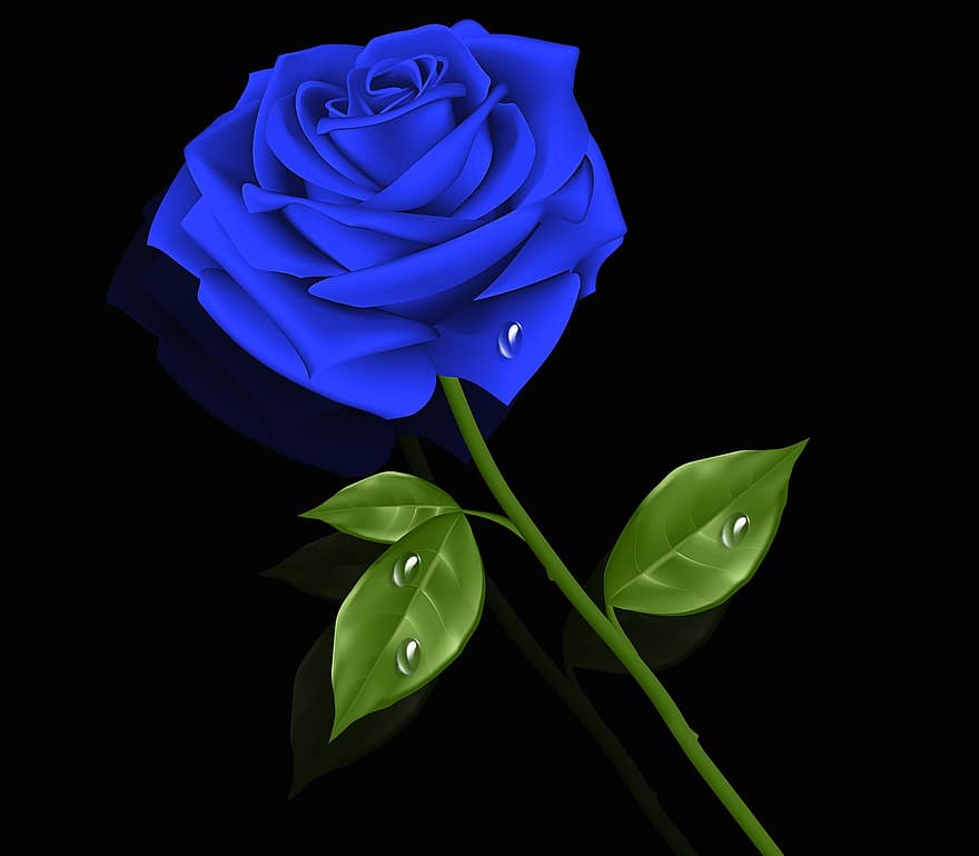 flor, hoja, planta, naturaleza, amor, rosado azul, romántico