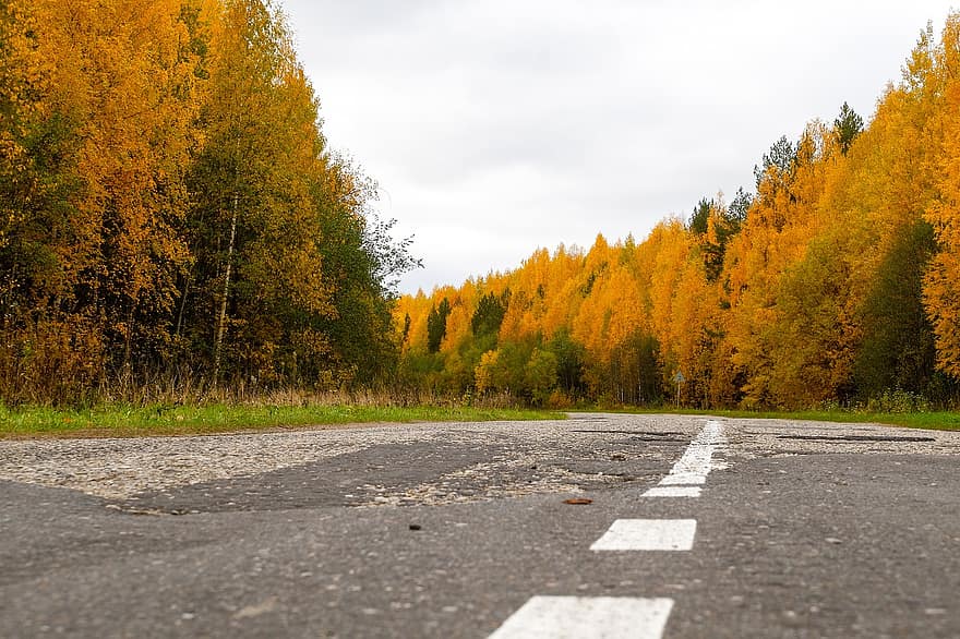 la carretera, otoño, campo, paisaje