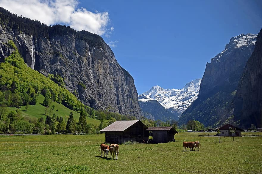 landskabet, natur, landdistrikterne, udendørs, rejse, udforskning, Schweiz, gård, bjerge