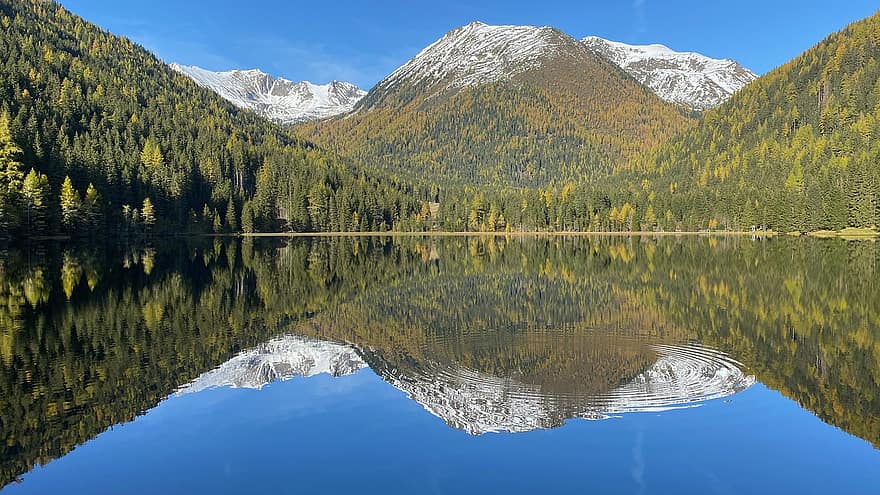 Lake, Trees, Mountains, Reflection, Water, Conifer, Coniferous, Forest, Snow, Mountain Range, Scenery