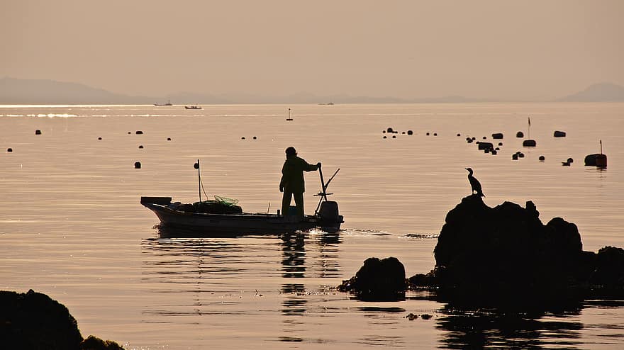Łódź rybacka, morze, zachód słońca, sylwetka, rybak, Wędkarstwo, łódź, ptak, przysiadł, skały, woda