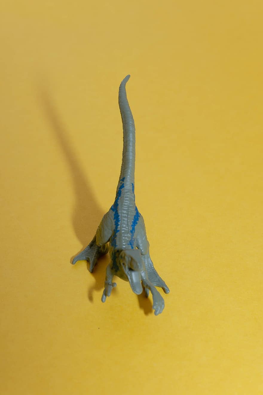 dinosaurus, paleontologie, hračka, miniaturní, detail, izolovaný, pozadí, biologie, žlutá, členovců, zvířecí kostra