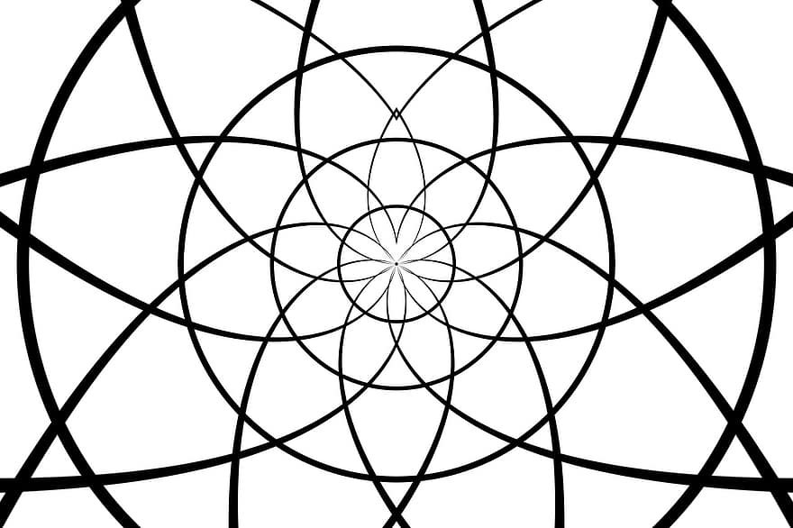 simetria, flor, Flor do círculo, circular, Centro, meio, grade