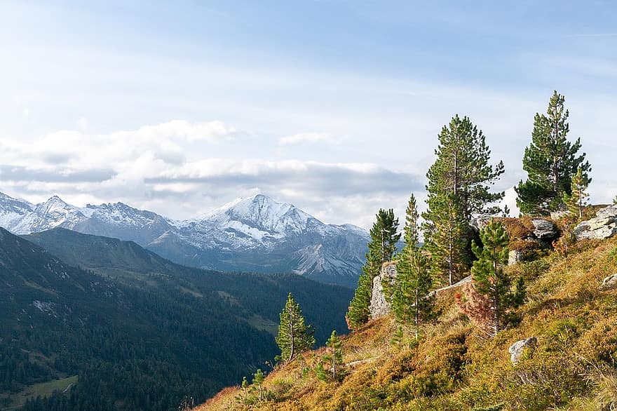 ออสเตรีย, Obertauern, ภูเขา, ต้นไม้, ธรรมชาติ, Salzburg, ป่า, ยอดเขา, ภูมิประเทศ, หญ้า, ฤดูร้อน