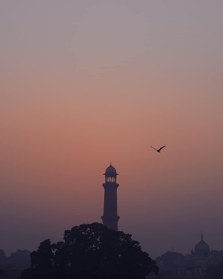 fugl, moske, Lahore, solnedgang, skumring, arkitektur, silhuet, religion, sol, måge, solopgang