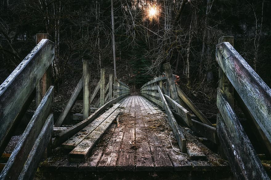 jembatan, kayu, trek kayu, jembatan kayu, hiking, pagar, rusak, hutan