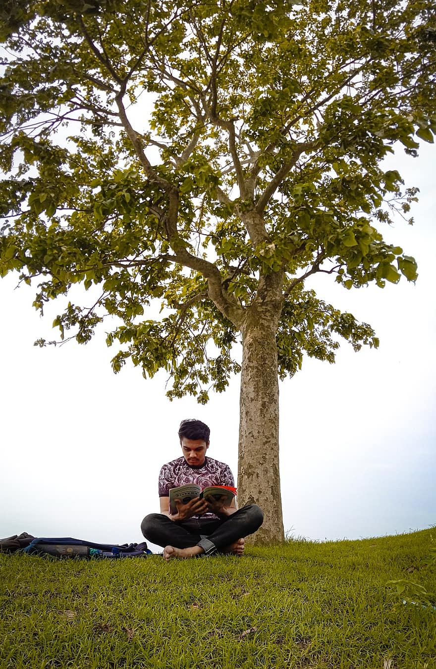 дерево, поле, человек, читать, досуг, чтение, природа, на открытом воздухе
