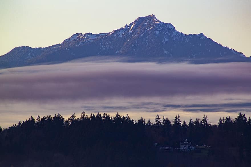 Mountain, Trees, Forest, Fog, Clouds, Dawn, Mount Pilchuck, Nature, Outdoors, Landscape, Cascade Mountains