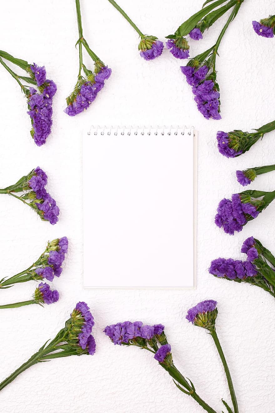 bunga-bunga, Latar Belakang, notes, buku catatan, kertas, bingkai, lavender laut, Statice, kelopak, berkembang, menanam