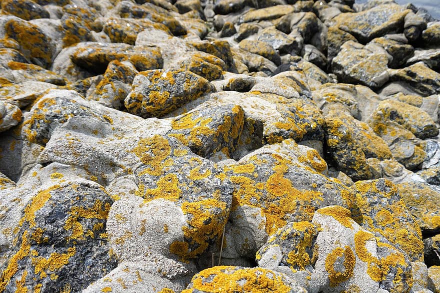 камъни, вълнолом, Вълнови бариери, Северно море, крайбрежие