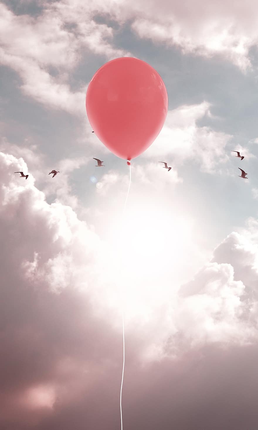 ballon, Solfugle, skyer, humør, himmel, solskin, dom, flyvende, håber, lykkelig, harmoni