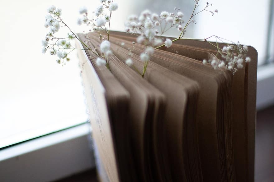 Notepad, Flowers, Botany, Bloom, Blossom, Macro, Pages, Gypsophila, Craft, Paper, indoors