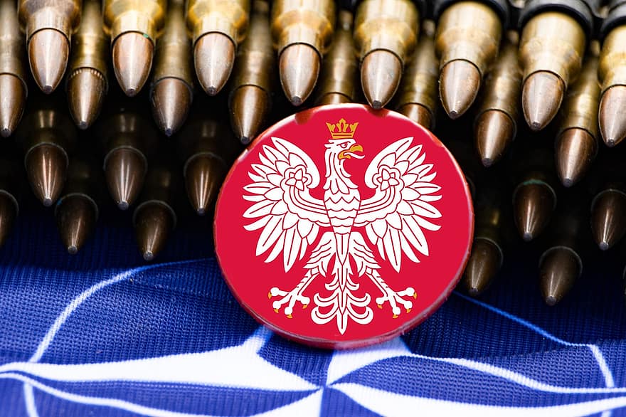 steag, Polonia, roșu, stema, coroană, vultur, încoronat, de aur, buton, stegar, Organizatia Tratatului Nord-Atlantic