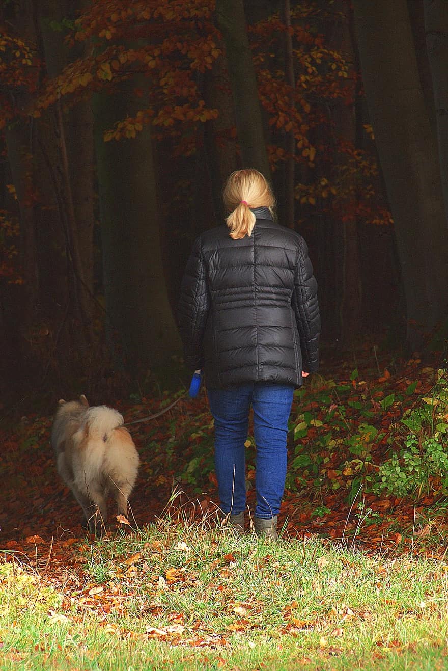 mujer, para caminar, perro, excursionismo, bosque, parque, prado, otoño, eurasier, Perro eurasiático