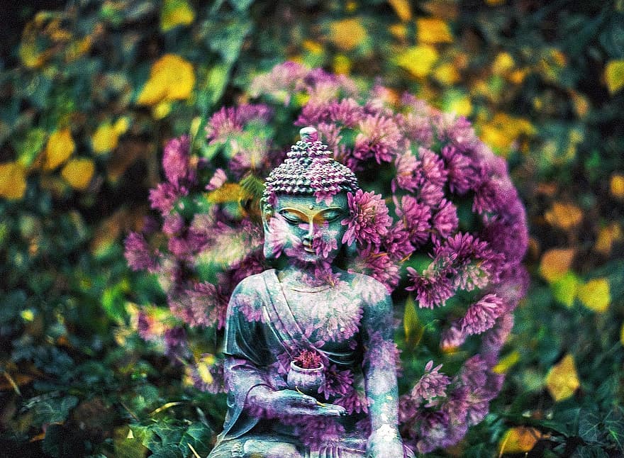Будда, квітка, Буддизм, релігія, мир, духовний, східні, дзен, буддист, релігійний, статуя