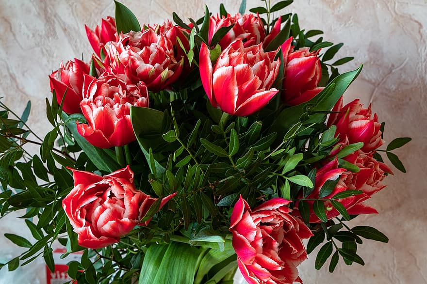 las flores, tulipanes, ramo de flores, pétalos, naturaleza, decoración