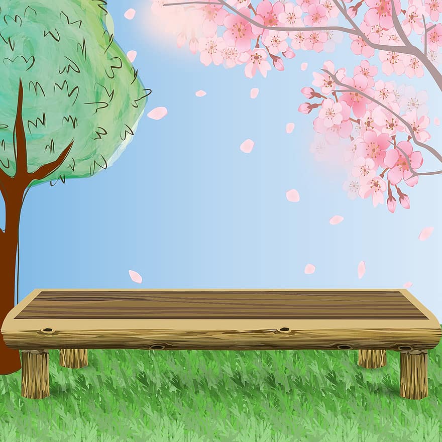 copac, floare, floare de cires, roz, primăvară, japonez copac de cireșe, grădină, plantă, Foarte primitor, un copac înfloritor, cirese ornamentale
