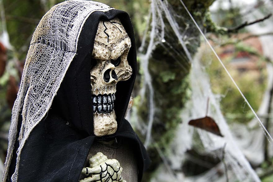 effrayant, forêt, Halloween, fête, crâne, des os, mort