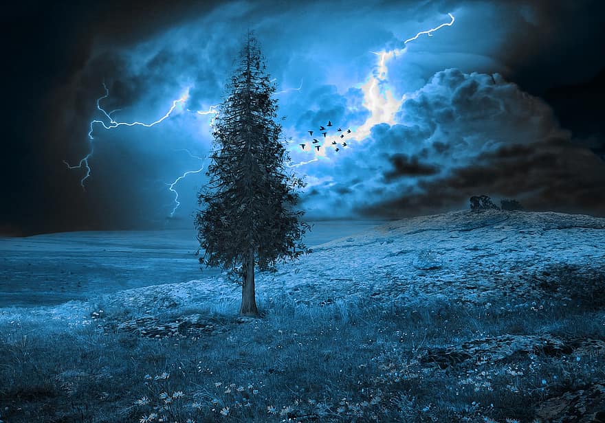 Tree, Blue, Lightning, Storm, Redwood, Pine, Evergreen, Hillside, Nature, Stormy, Night
