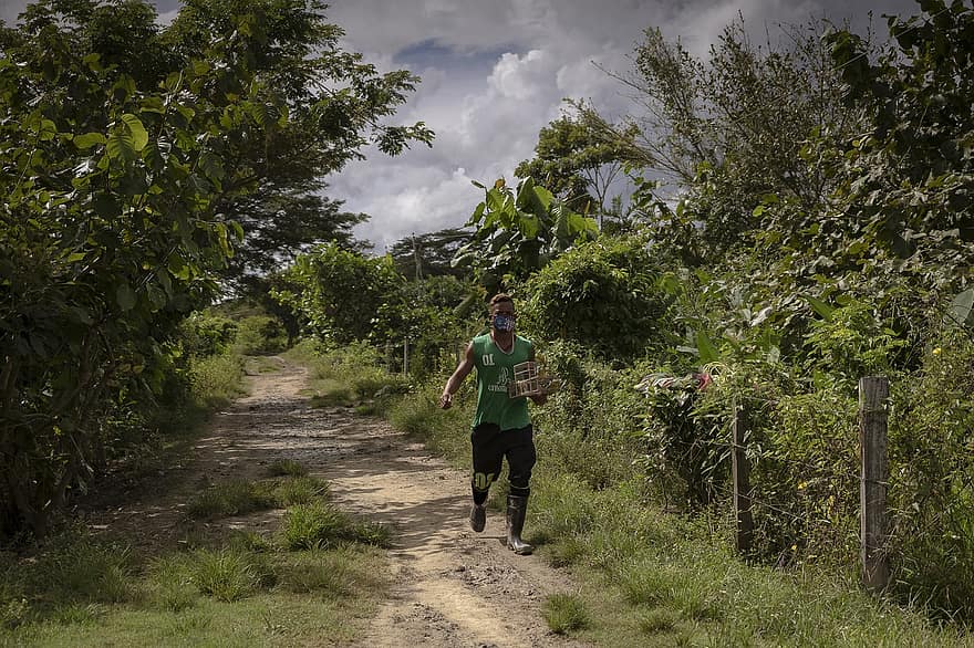 cacao, oostelijke vlaktes, visvangst, sucre, milieu, armoede, Colombia, mannen, jogging, uitoefenen, lopend