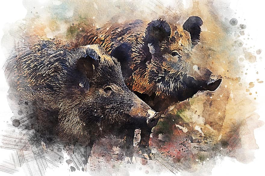 babi liar, babi, hewan, margasatwa, moncong, mamalia, daging babi asap, coklat, alam, kebun binatang, lukisan digital