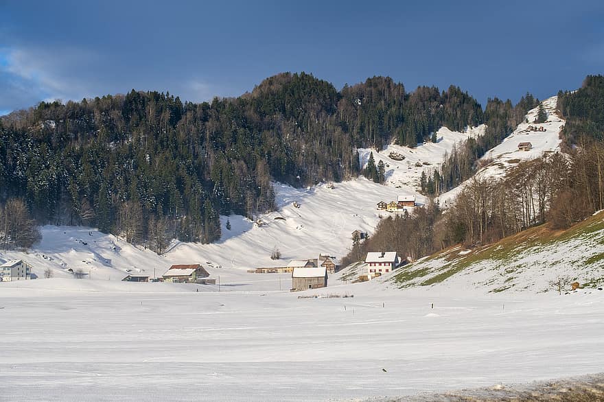 スイス、冬、自然、シーズン、雪、山、風景、スポーツ、森林、氷、青