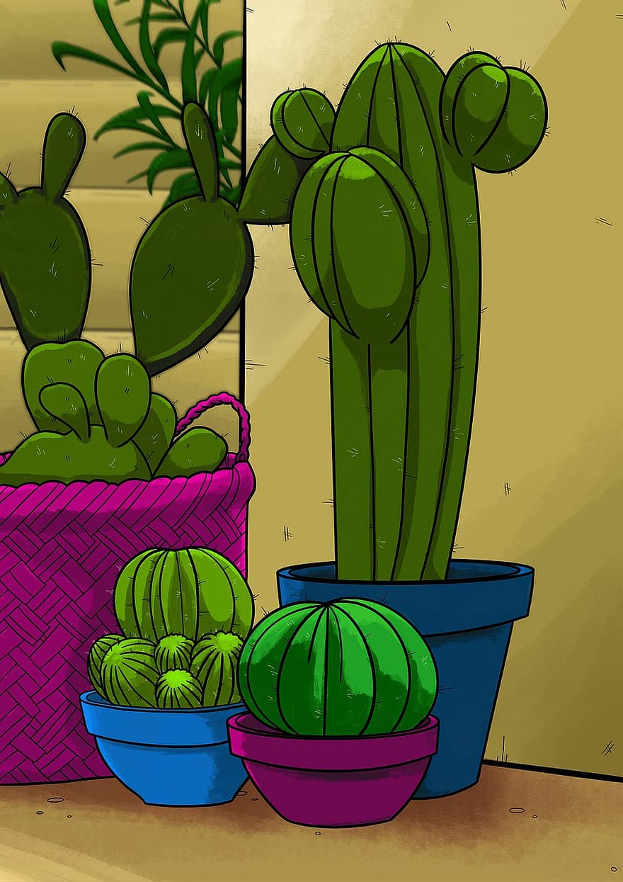 cactus, vetplanten, kamerplanten, groen, woestijn, natuur, pot, fabriek, bloempot, bloem, illustratie