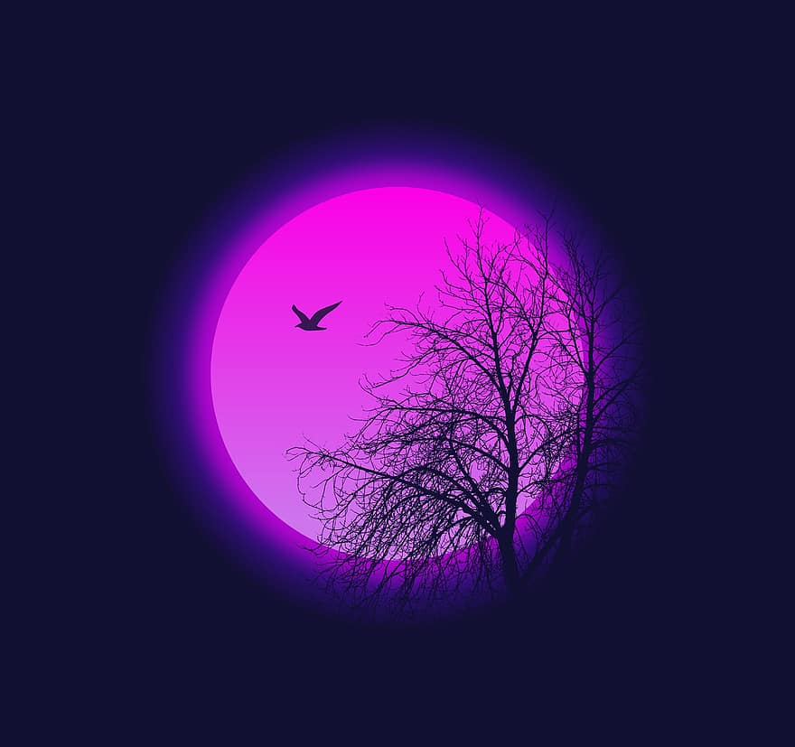 місяць, дерево, гілки, птах, небо