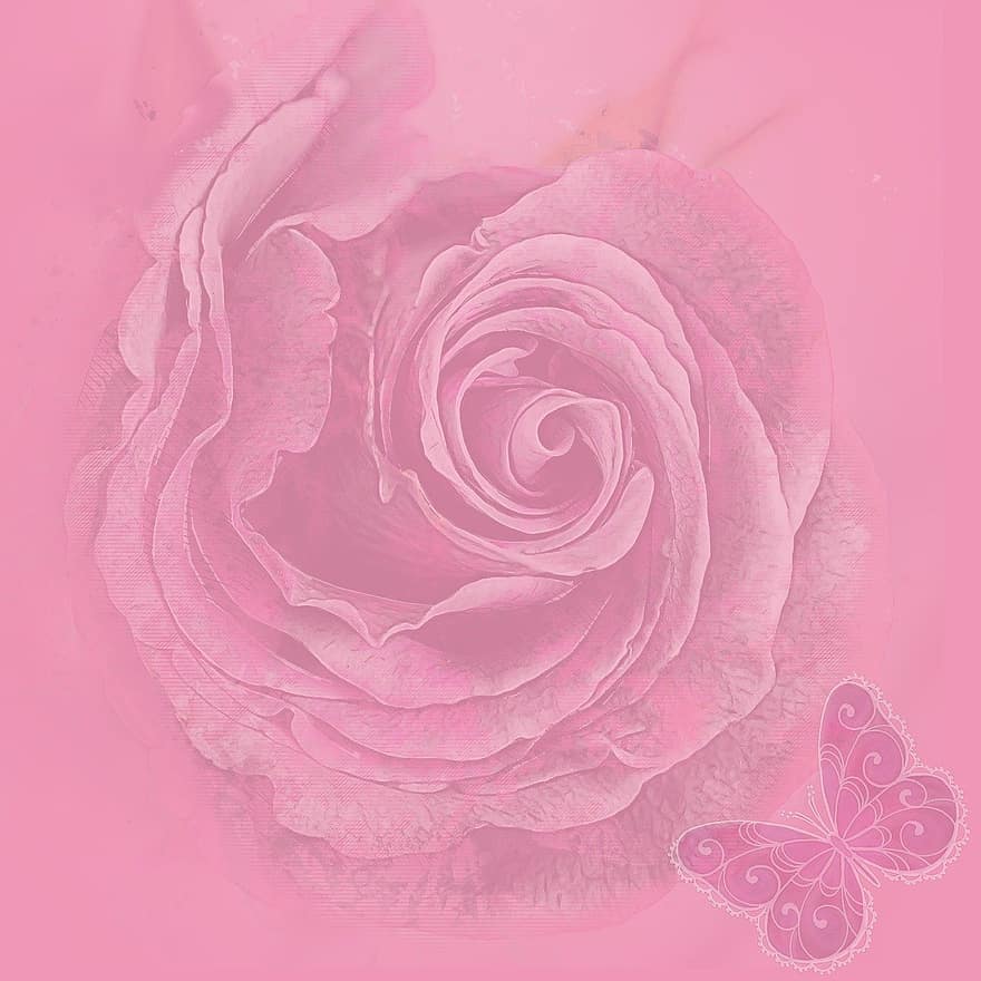 fondo, flor, Rosa, floración, mariposa, naturaleza, papel digital, álbum de recortes, papel pintado, diseño, decorativo