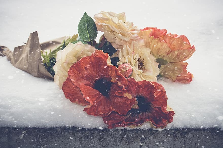 Bouquet, Flowers, Poppies, Roses, Snow, Goodbye, Miss You, Red, White, Petals, Blossom